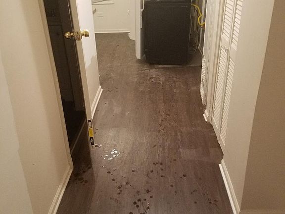 4th image of 4140 S Campbell Ave #1