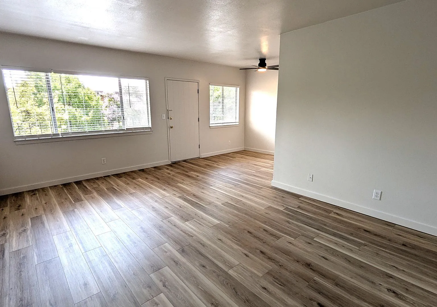 233 N. E St. — Photo 4