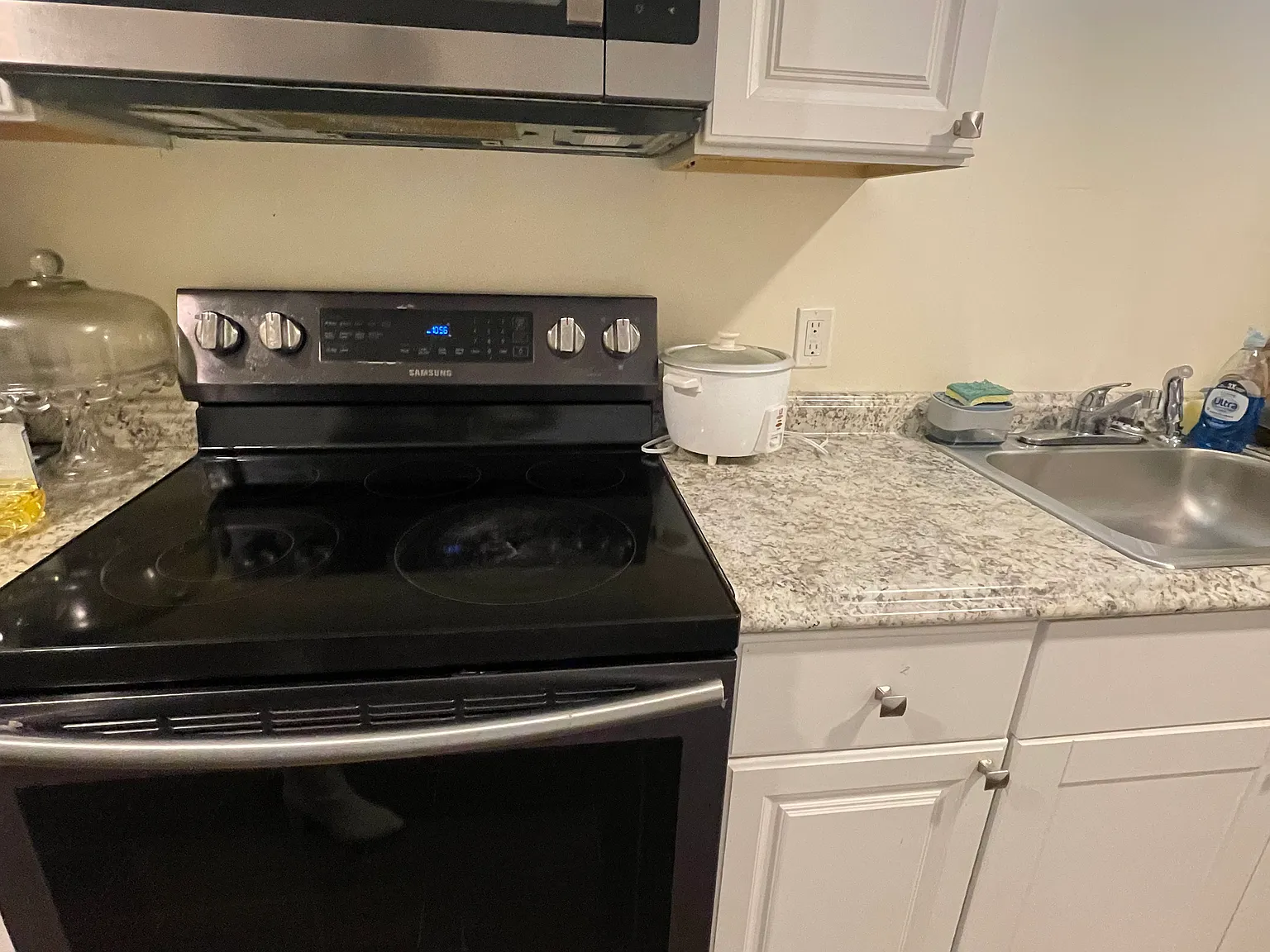 3 bed, 1100 sqft, $3,100 — Photo 3