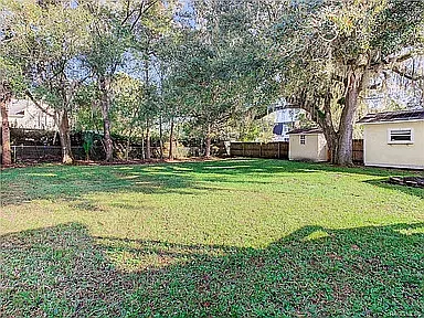 Back yard