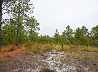 113 Longview St, Lexington, SC 29073