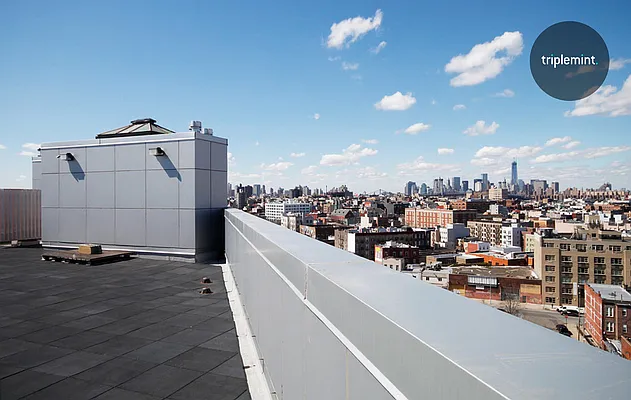 Rented by Triplemint | media 16