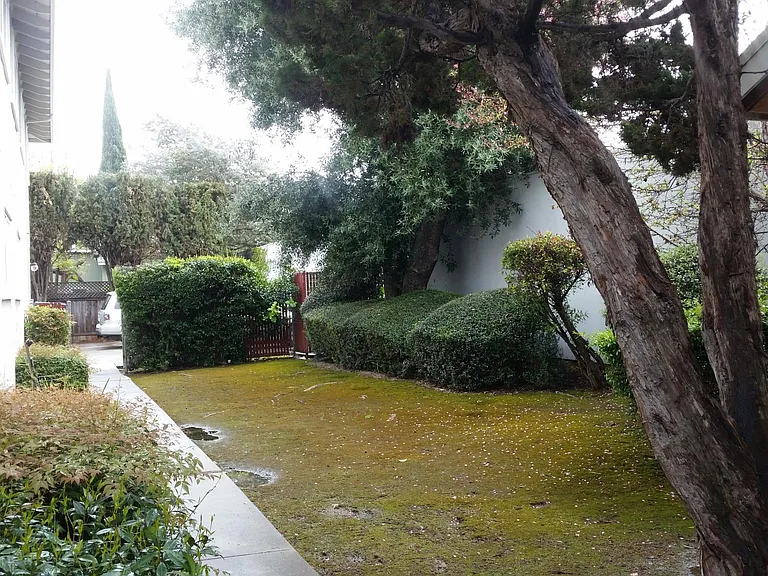 956 Paula St — Photo 8
