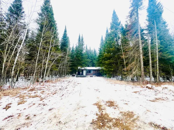 56444 Ted Pederson Rd, Bigfork, MN 56628