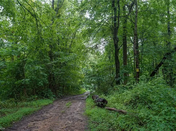 Township Road 484, New Matamoras, OH 45767