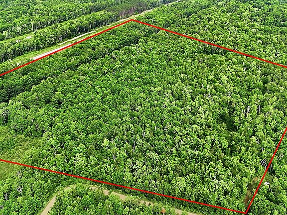 3rd image of Taylor Birch Rd