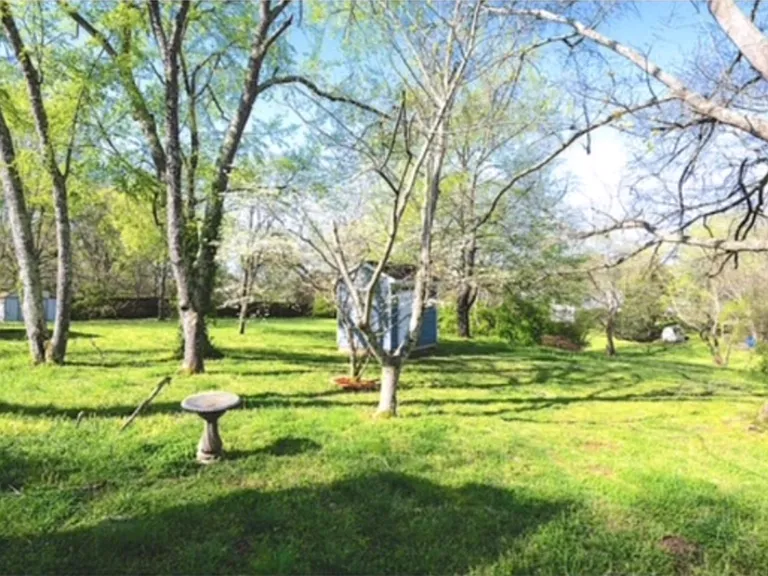 816 Beech Bend Dr — Photo 24