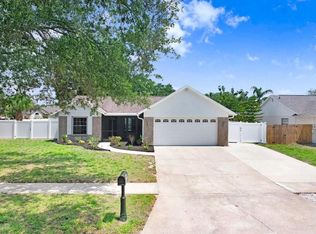 1017 Cameo Crest Ln, Valrico, FL 33596