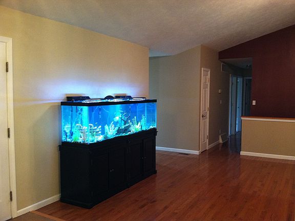 Aquarium in living room