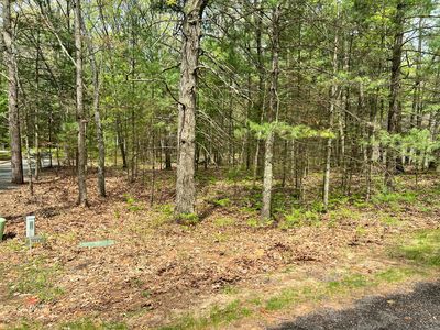 LOT 95 Iroquois Rd, Pentwater, MI, 49449