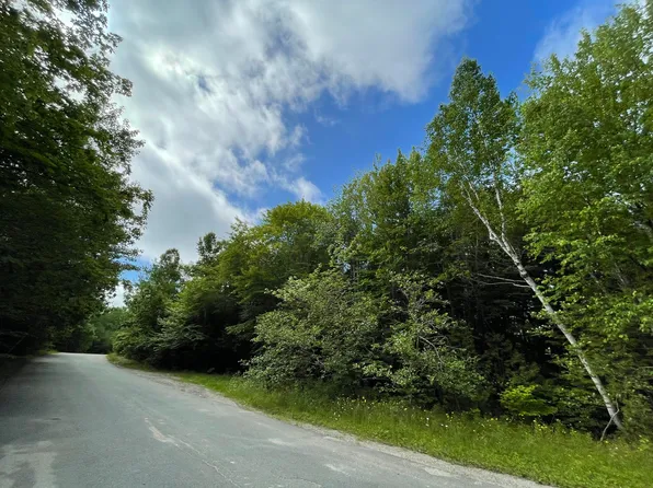 0 Mama Bear Road, Orland, ME 04472