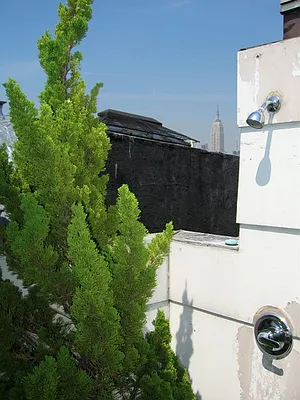 Rented by Corcoran | media 32