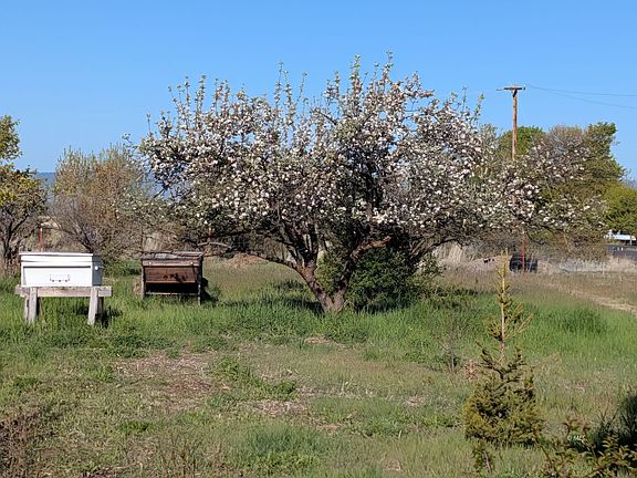 5th image of 333 County Road 43