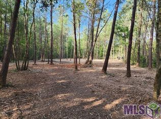 TRACT R Two D La Hwy LOT 43, Independence, LA 70443