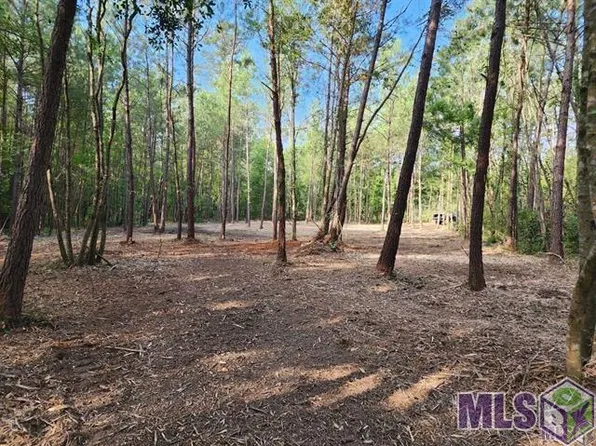 TRACT R Two D La Hwy Lot 43, Independence, LA 70443