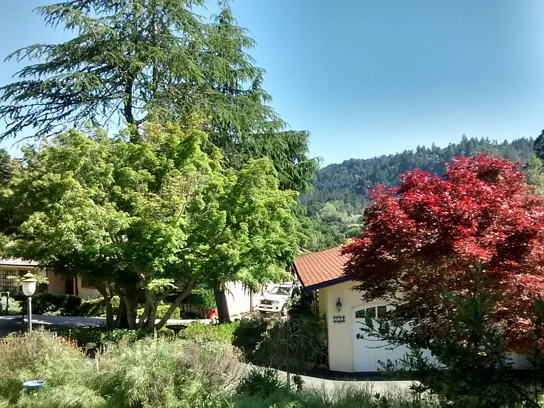 220 E Terrace Dr — Photo 15