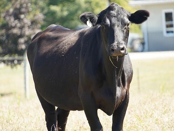 4th image of 1949 Inlow Ave