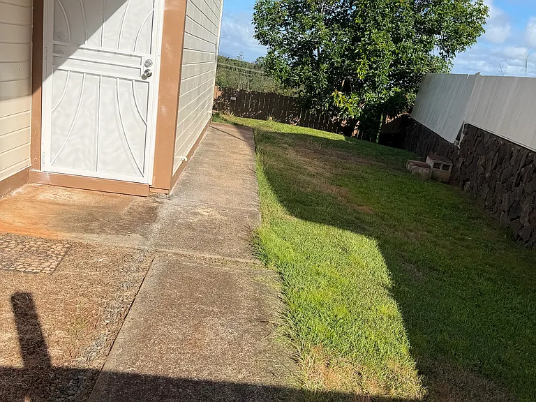 Front Door, and side yard. Avacado tree on the right.