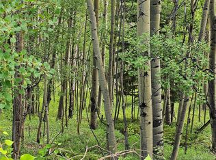 0 Slegers Rd, Fort Garland, CO 81133