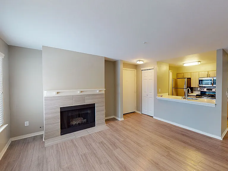 Apartment kitchen with stainless steel appliances, dining and living room with wood-style flooring and fireplace in select homes.