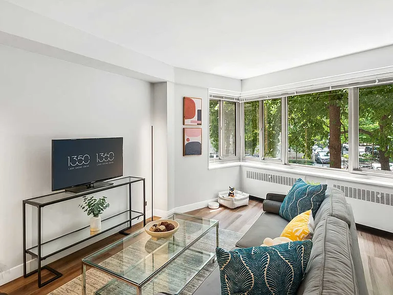 1350 North Lake Shore Drive — Photo 10