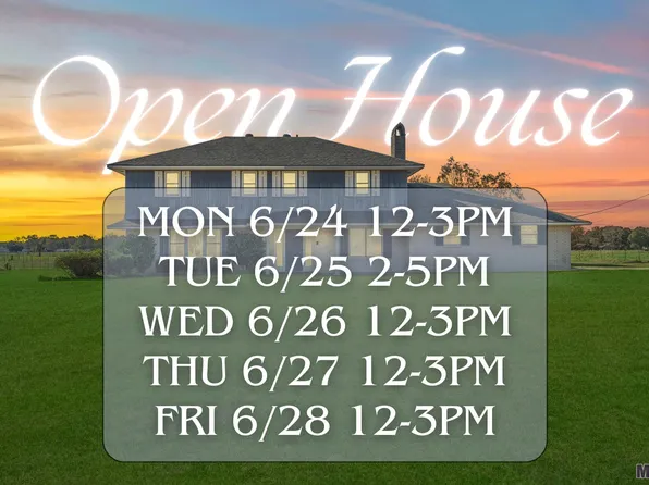 16153 Joe Sevario Rd, Prairieville, LA 70769
