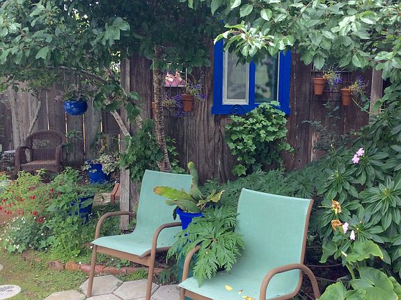 Shed in background