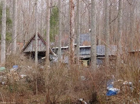 625 Raindrop Rd, Fancy Gap, VA 24328