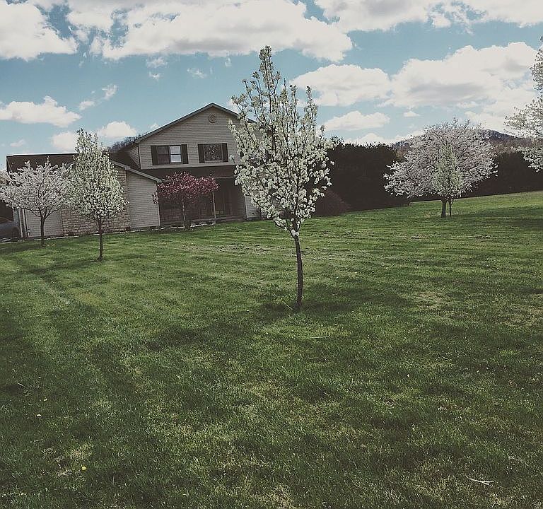 2nd image of 101 Mountainview Dr