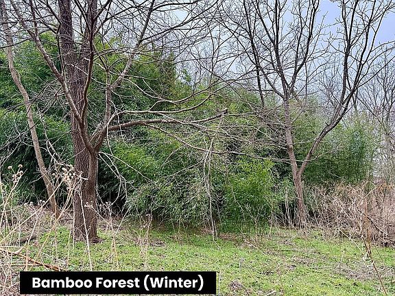 4th image of Tbd Middlebrook Village Rd