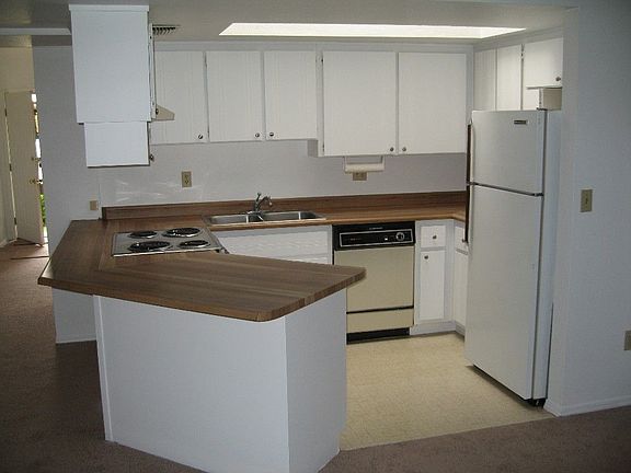 Kitchen Appliances, Skylight