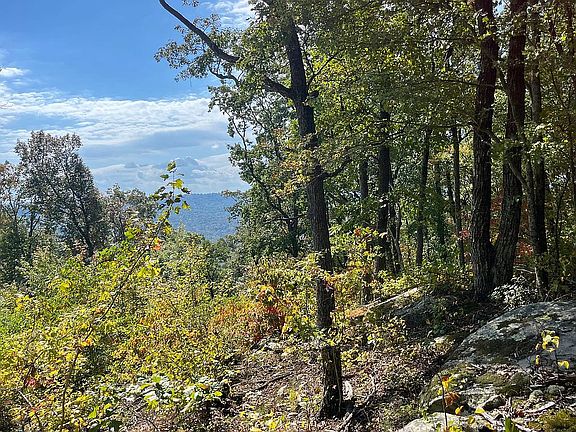 4th image of Coal Bank Rd Lot 39