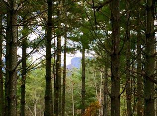 1854 Old Wildlife Club Dr, Nebo, NC 28761