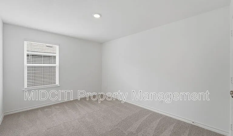 966 Bluegrass Point #NEW BRAUNFELS — Photo 34