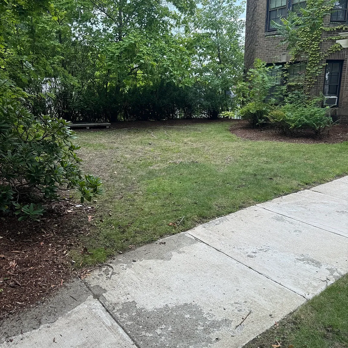 2 bed, 1.0 bath, 1250 sqft, $2,500 — Photo 3