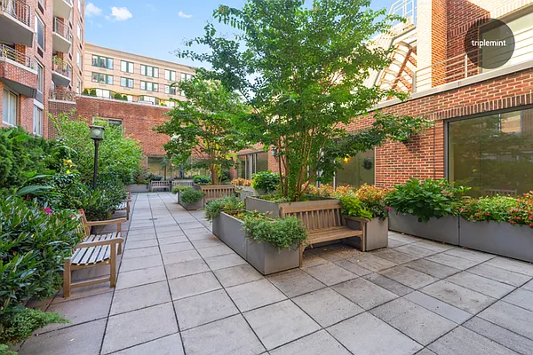 Sold by Triplemint | media 15