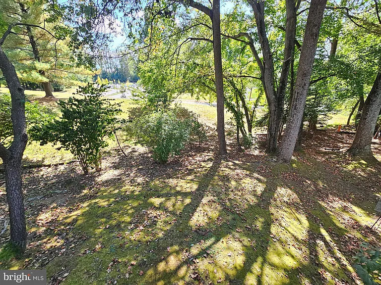 11321 Classical Ln — Photo 58