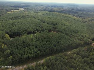 5529 Martin Luther Kinging Junior Dr, Eupora, MS 39744