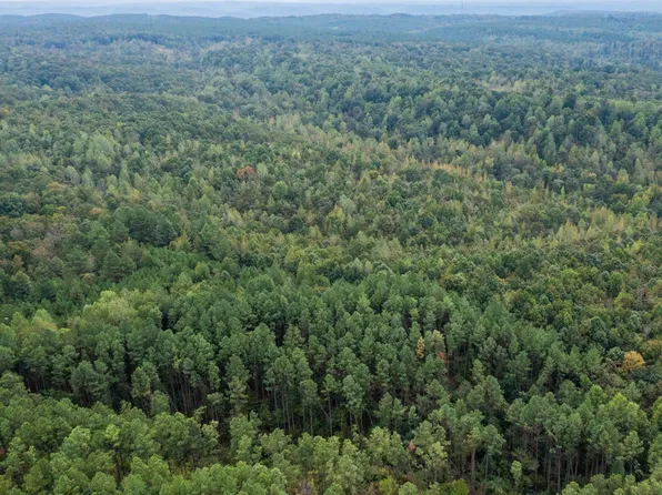 2 Peachwood Ln Lot 1, Camden, TN 38320