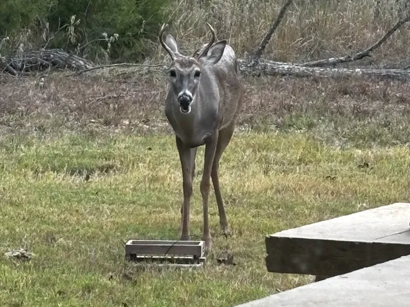 5073 Loper Cir, Streetman, TX 75859