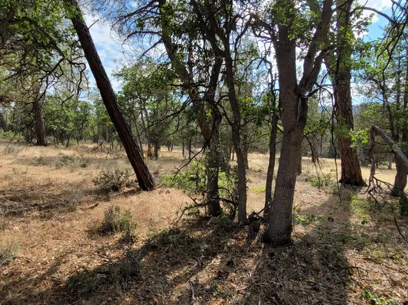 LOT 32 Shoshoni Loop, Fall River Mills, CA 96028