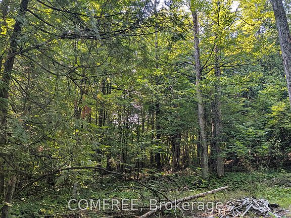 4th image of 4859 Opeongo Rd