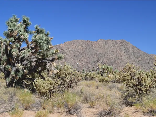 11300 S Dennis Road, Yucca, AZ 86438