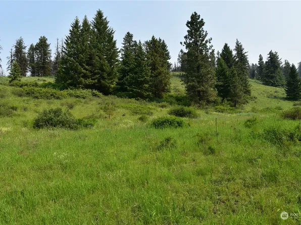 0 Lot 65 Knob Hill Road, Republic, WA 99166