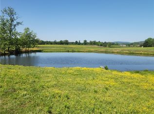 933 Walnut Rd, Hector, AR 72843