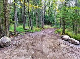 Snowbird Lk #113W, Forestport, NY 13338