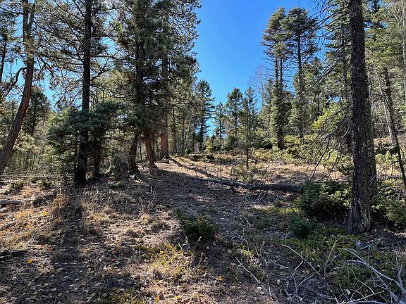 3rd image of lot 261 Vista del Valle