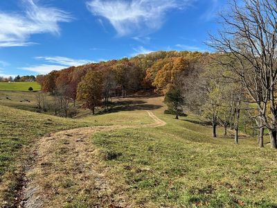 1748 Mountain Rd, Cedar Bluff, VA, 24609
