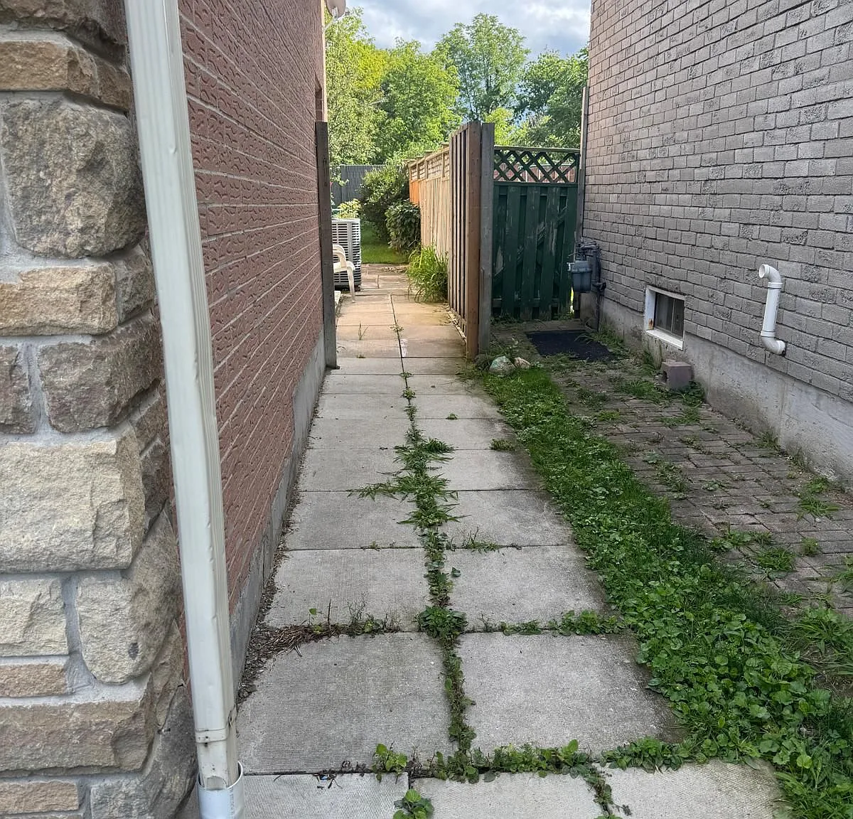 2 bed, $1,800 — Photo 2