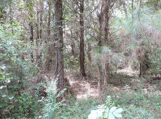 0 Davenport Rd, Greenville, AL 36037